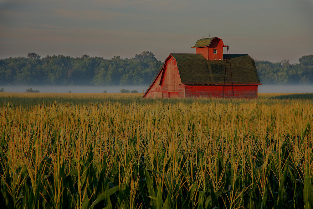 farm and crop insurance Camden TN